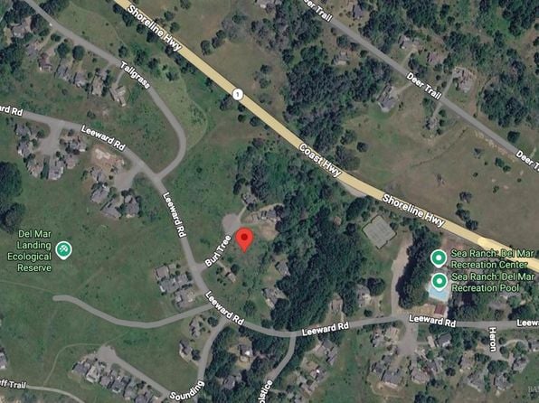 74 Burl Tree - Photo 1