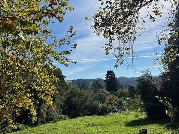 312 Grandview Rd - Photo 1