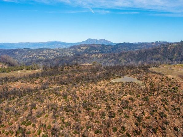 0 PAR Los Alamos Road - Photo 1