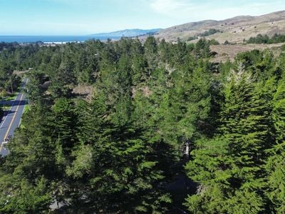 2100 Highway 1 - Photo 1