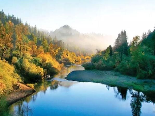 2491 Riverview Drive - Photo 1