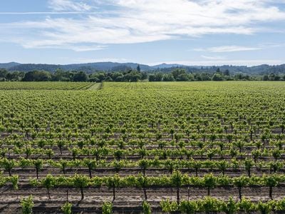 374 Kinley Drive - Photo 1