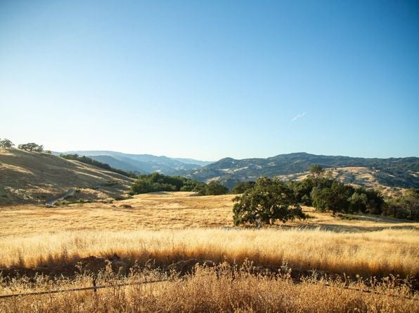 29810 River Road - Photo 1