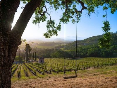 2893 Saint Helena Highway N - Photo 1