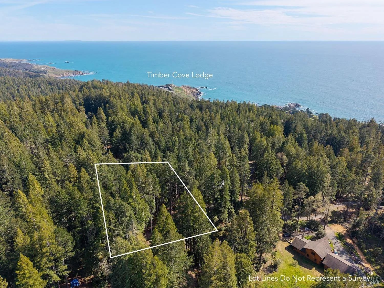 22096 Umland Circle - Photo 1