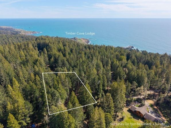 22096 Umland Circle - Photo 1