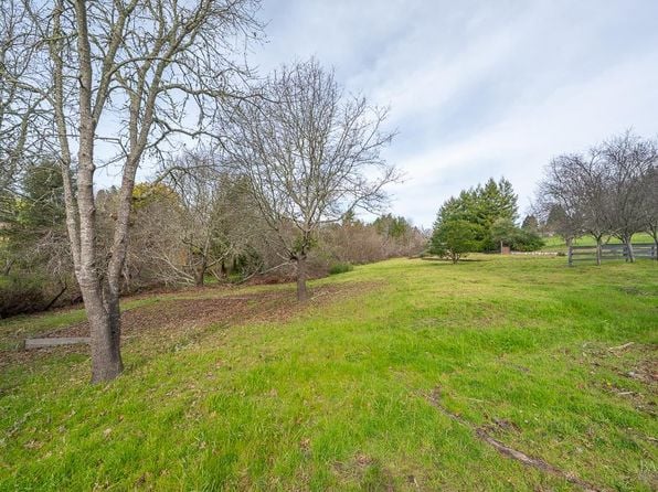 790 Ferguson Road - Photo 1