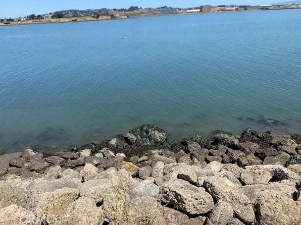 0 Ingerson Ave #9 - Photo 1