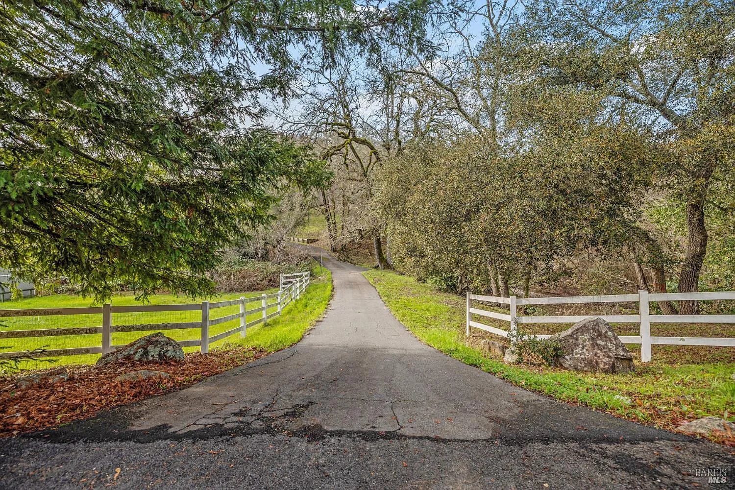 9105 Loch Haven Drive - Photo 1