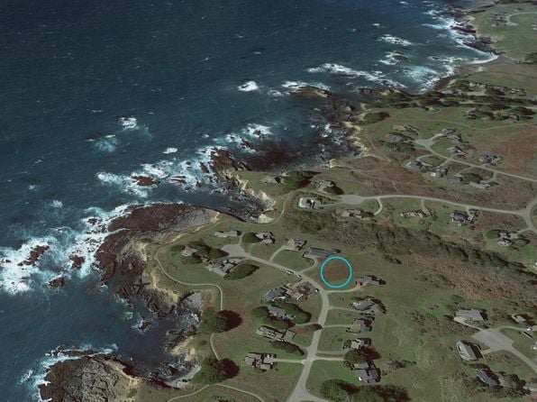 36910 Green Cove Drive - Photo 1