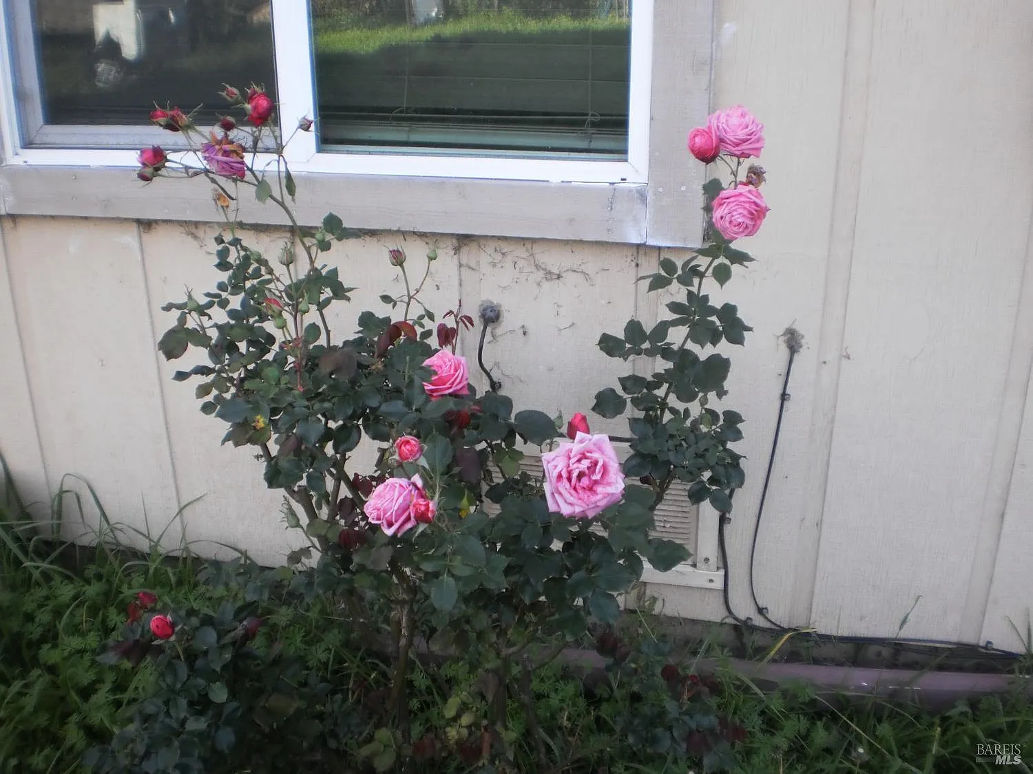 1911 Corby Avenue - Photo 1