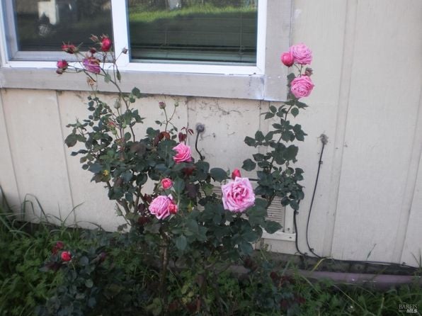 1911 Corby Avenue - Photo 1