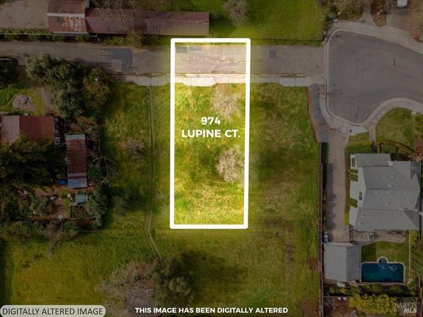 974 Lupine Court - Photo 1