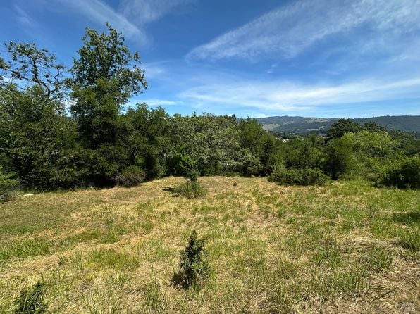 0 Cherry Creek Road - Photo 1
