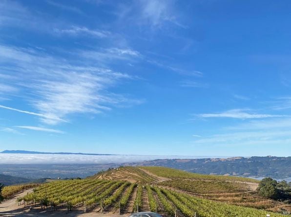 4420 Cavedale Road - Photo 1