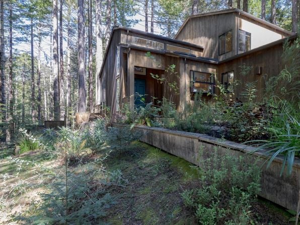 333 Fish Hook - Photo 1