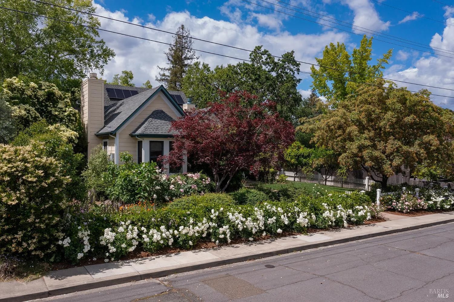 1330 Pine Street - Photo 1