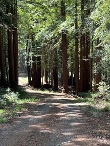 22051 Rust Drive - Photo 1