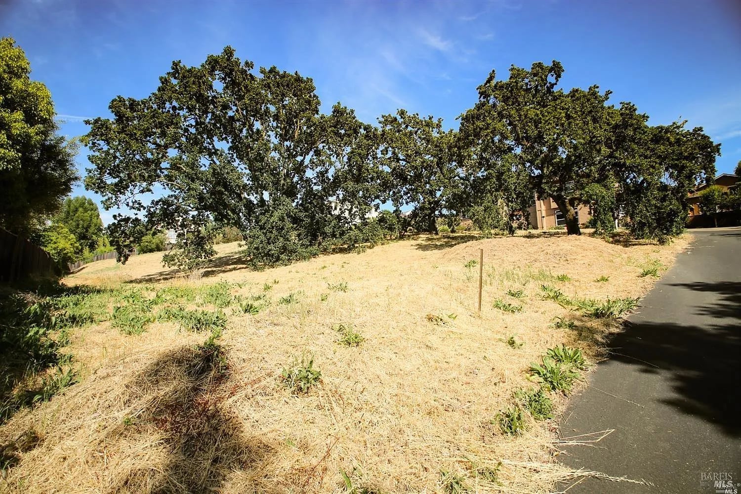 1960 Cooper Drive - Photo 1