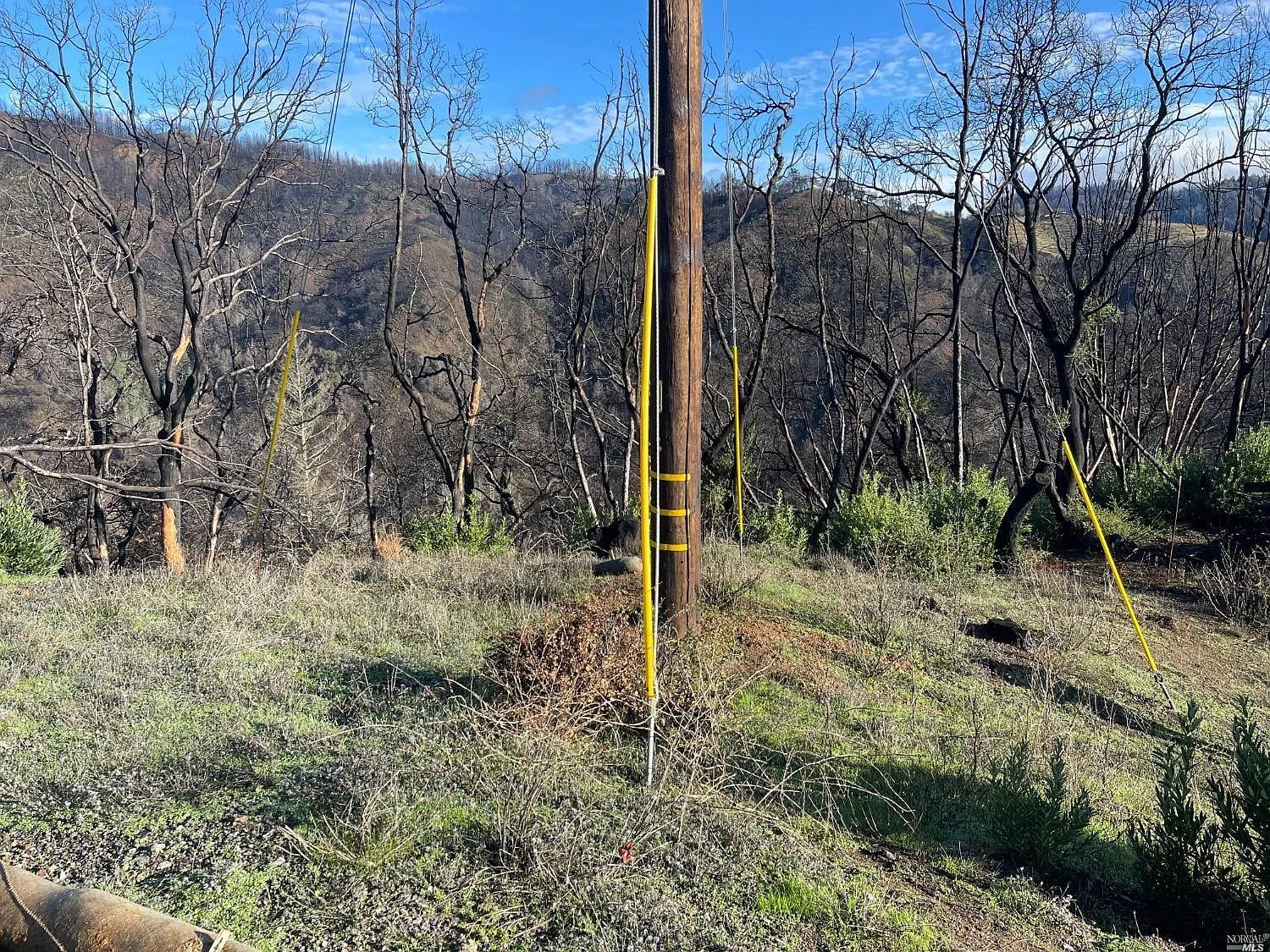 2000 Los Alamos Road - Photo 1