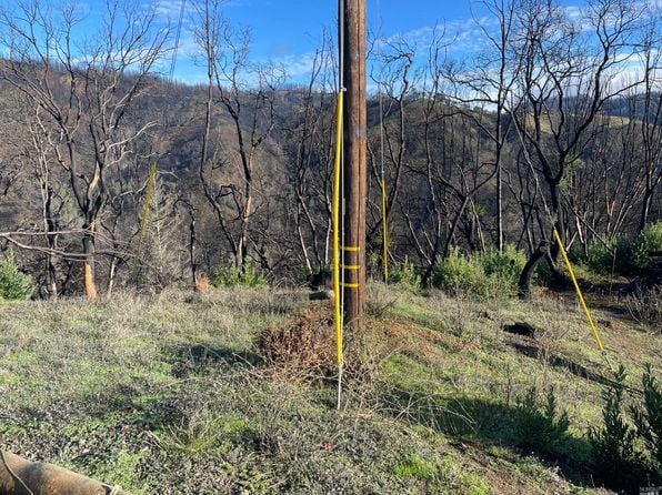 2000 Los Alamos Road - Photo 1