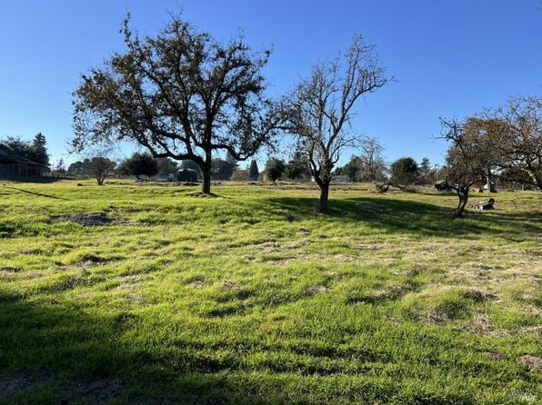 4720 Paulsen Ln - Photo 1