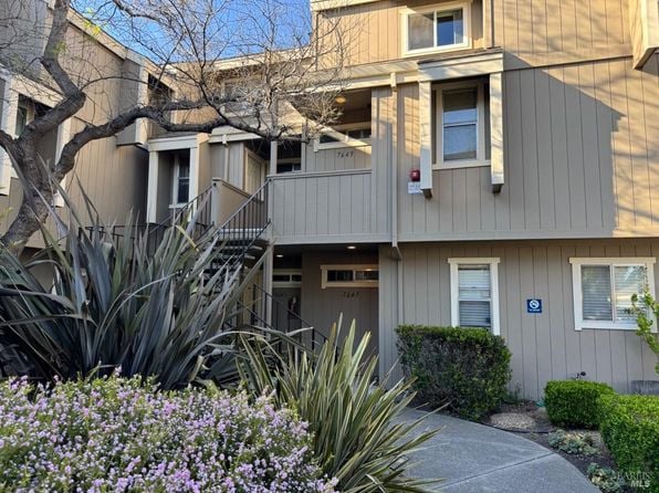 7643 Camino Colegio - Photo 1