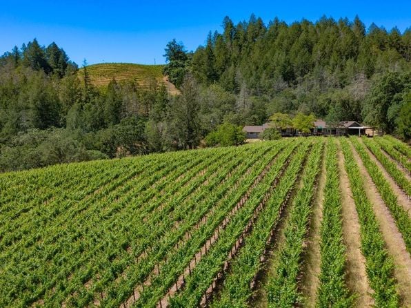 2131 Foothill Boulevard - Photo 1