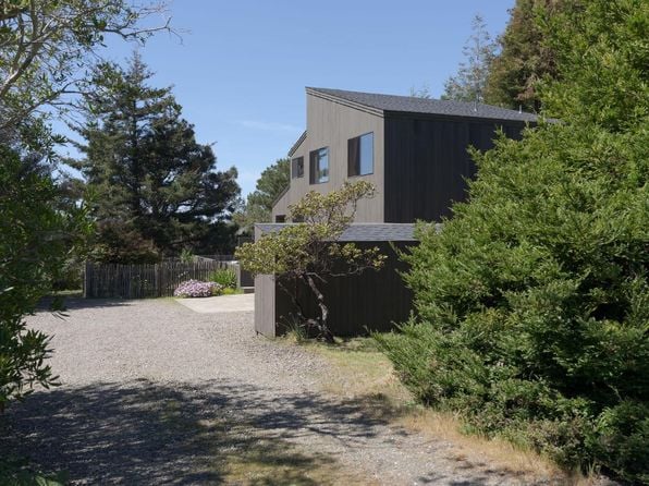 200 Screech Owl - Photo 1