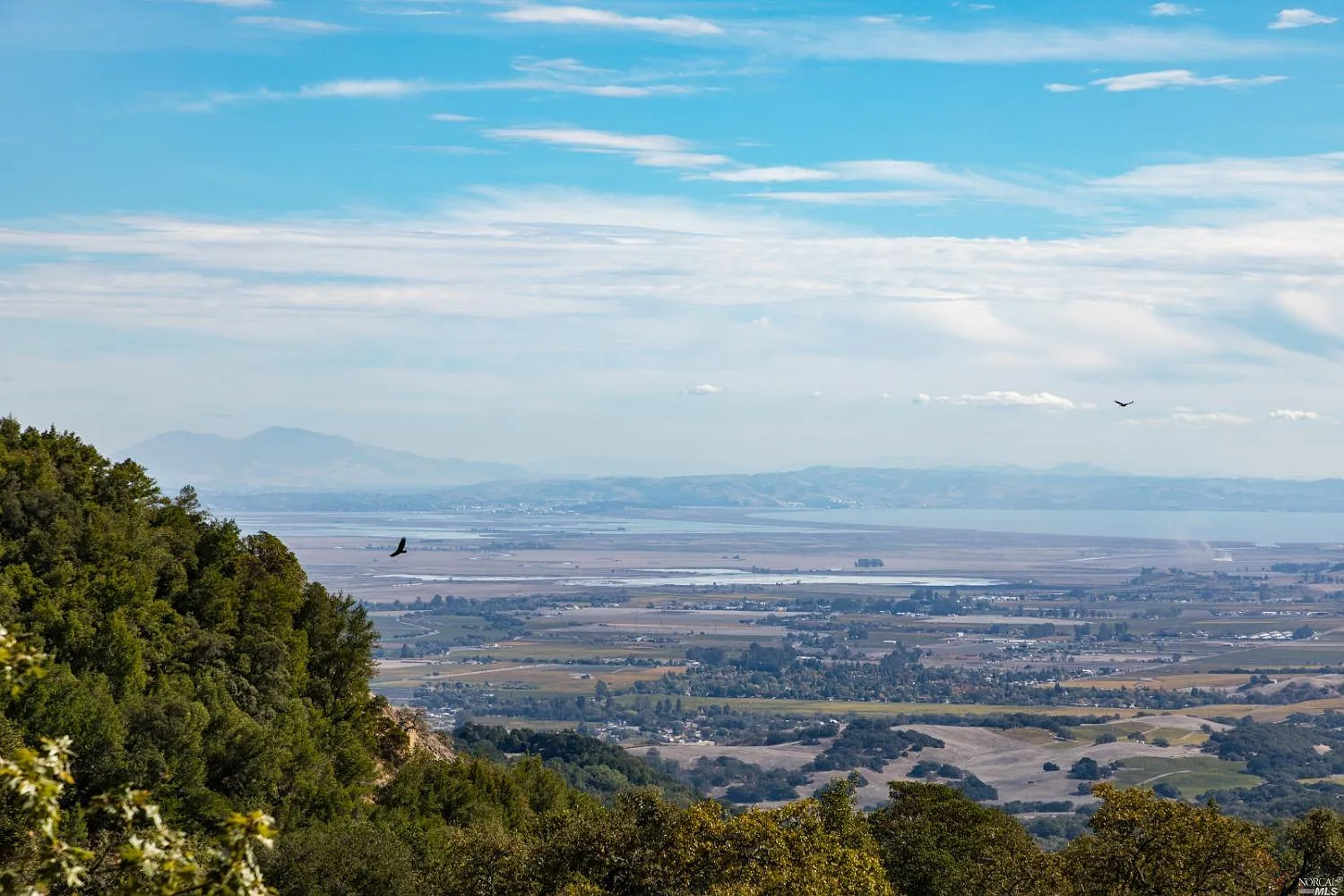 5500 Grove Street - Photo 1