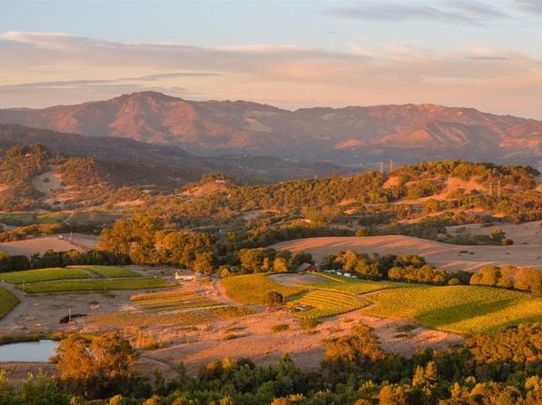 5561 Sonoma Mountain Road - Photo 1