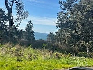 35411 Fly Cloud Road - Photo 1