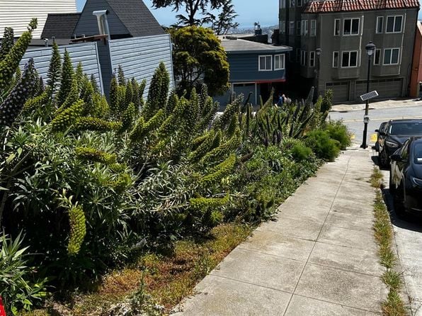 892 Corbett Ave - Photo 1