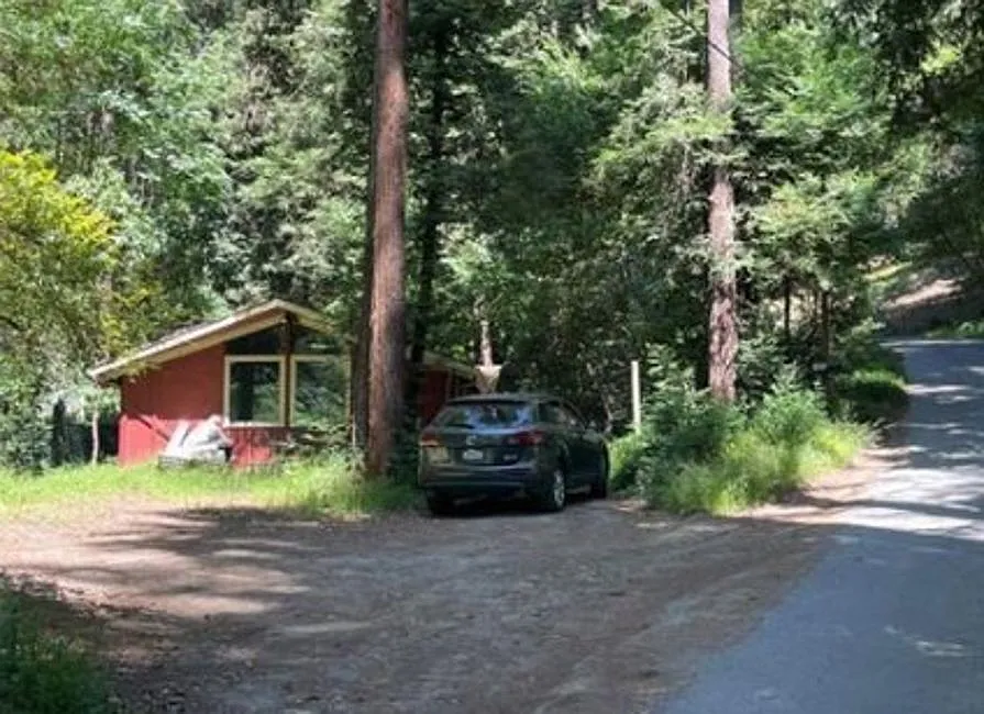 11241 Vellutini Rd - Photo 1