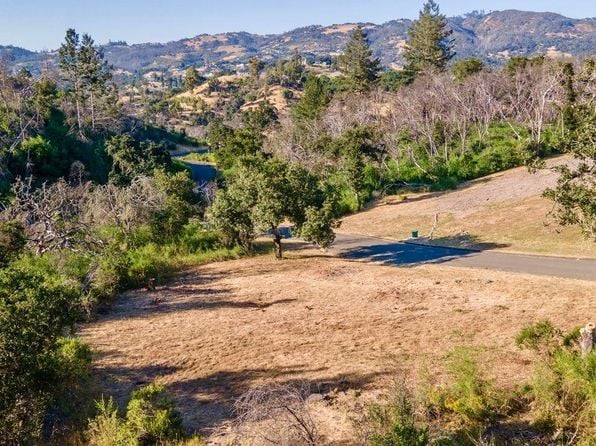 3927 Silver Fox Court - Photo 1