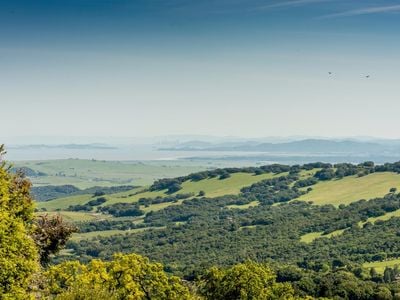 7251 Grove Court - Photo 1