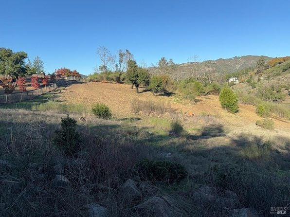 3950 Silver Fox Court - Photo 1