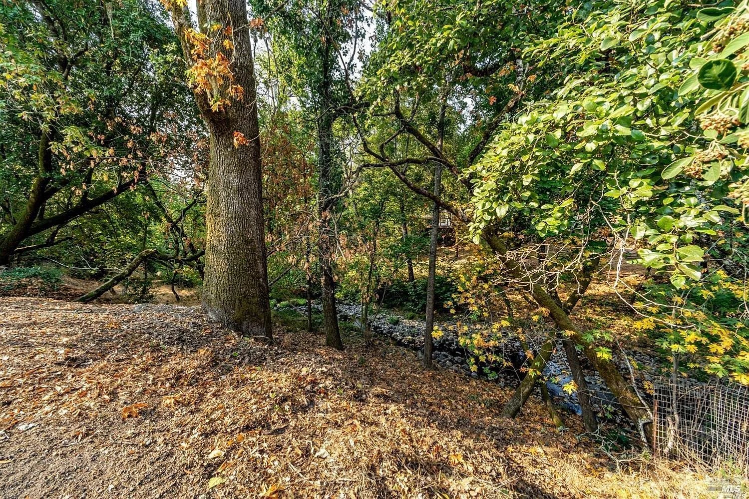 1513 Warm Springs Road - Photo 1