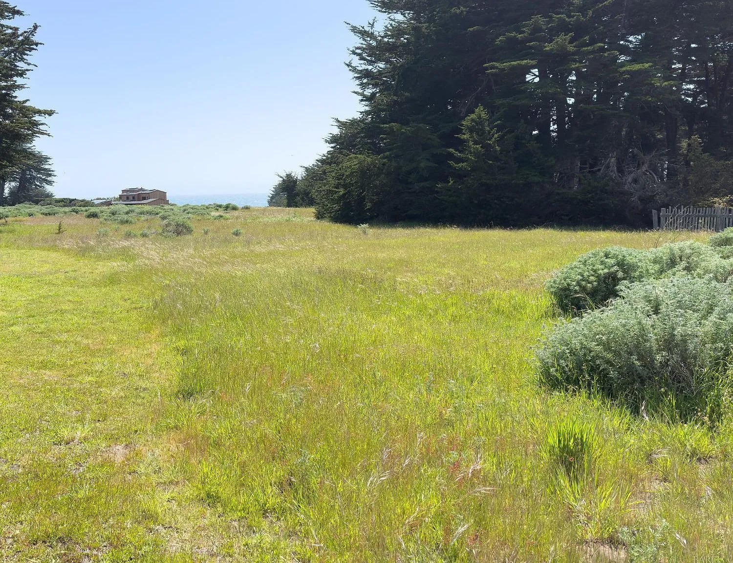 39463 Leeward Road - Photo 1