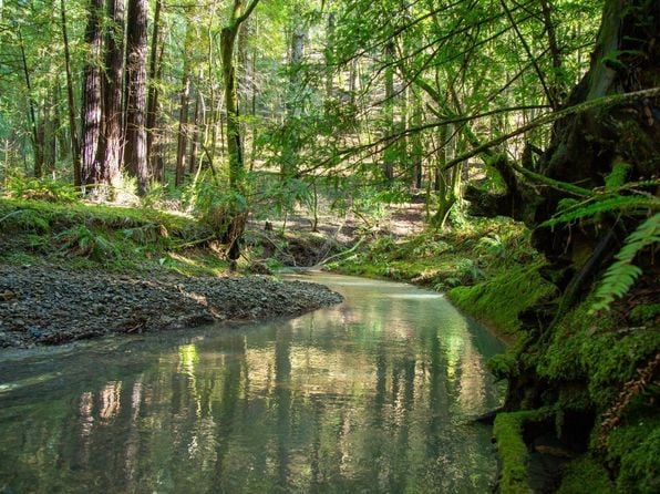 1490 Felta Road - Photo 1