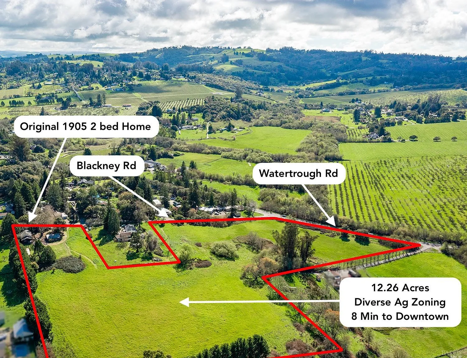 8400 Blackney Road - Photo 1