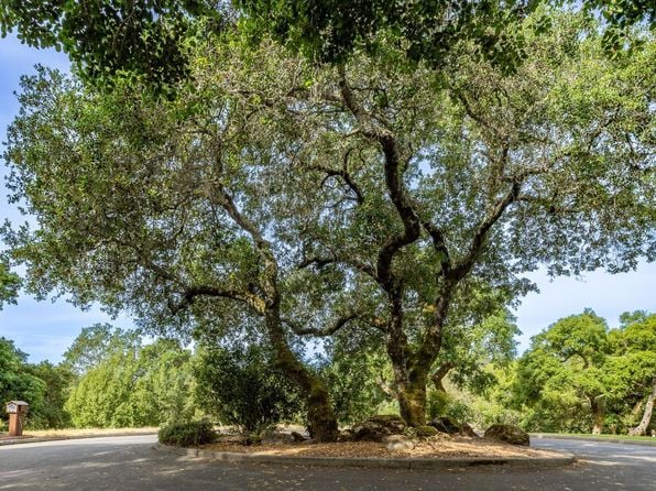 0 Rim Rock Way - Photo 1