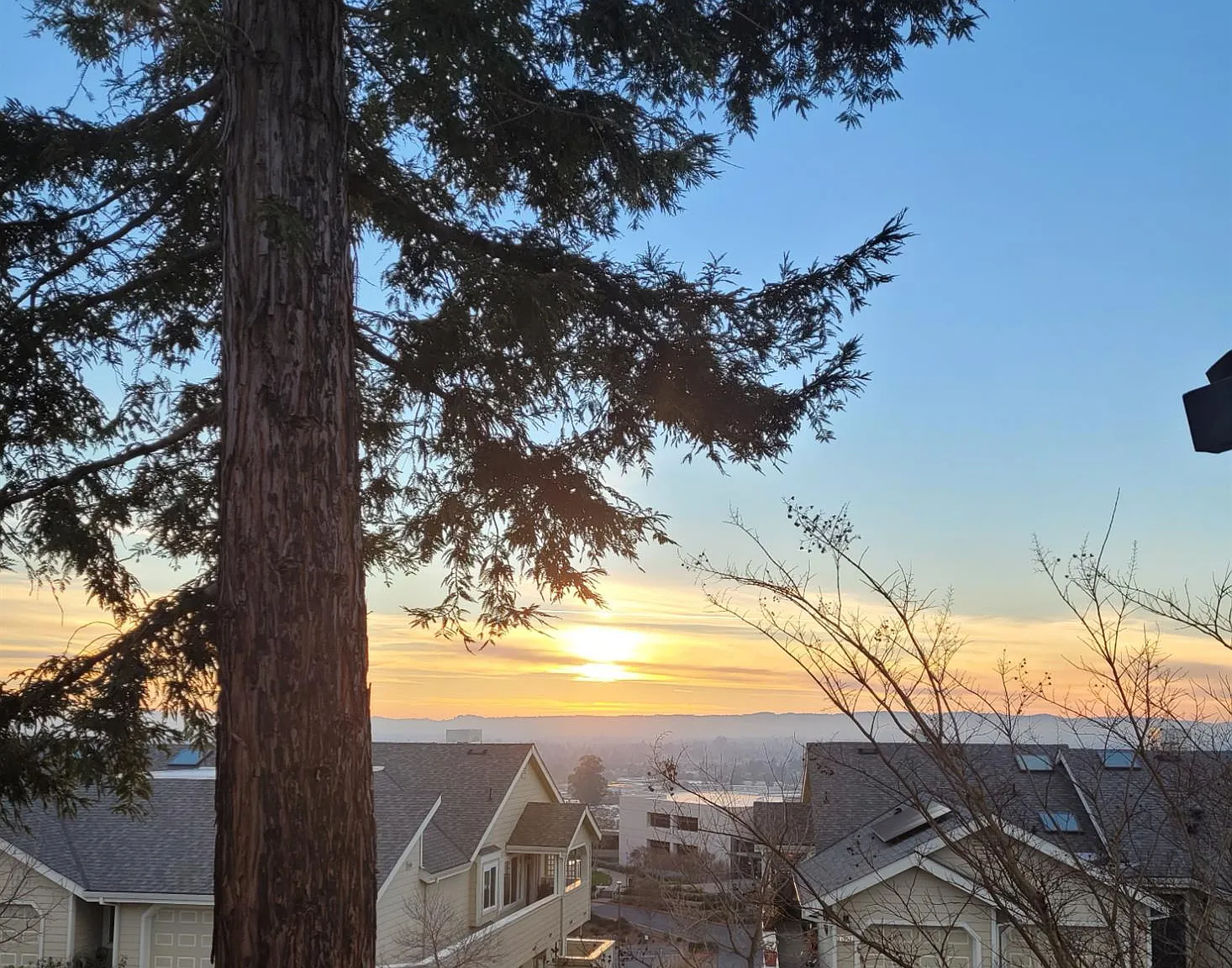 2131 Stonefield Lane - Photo 1