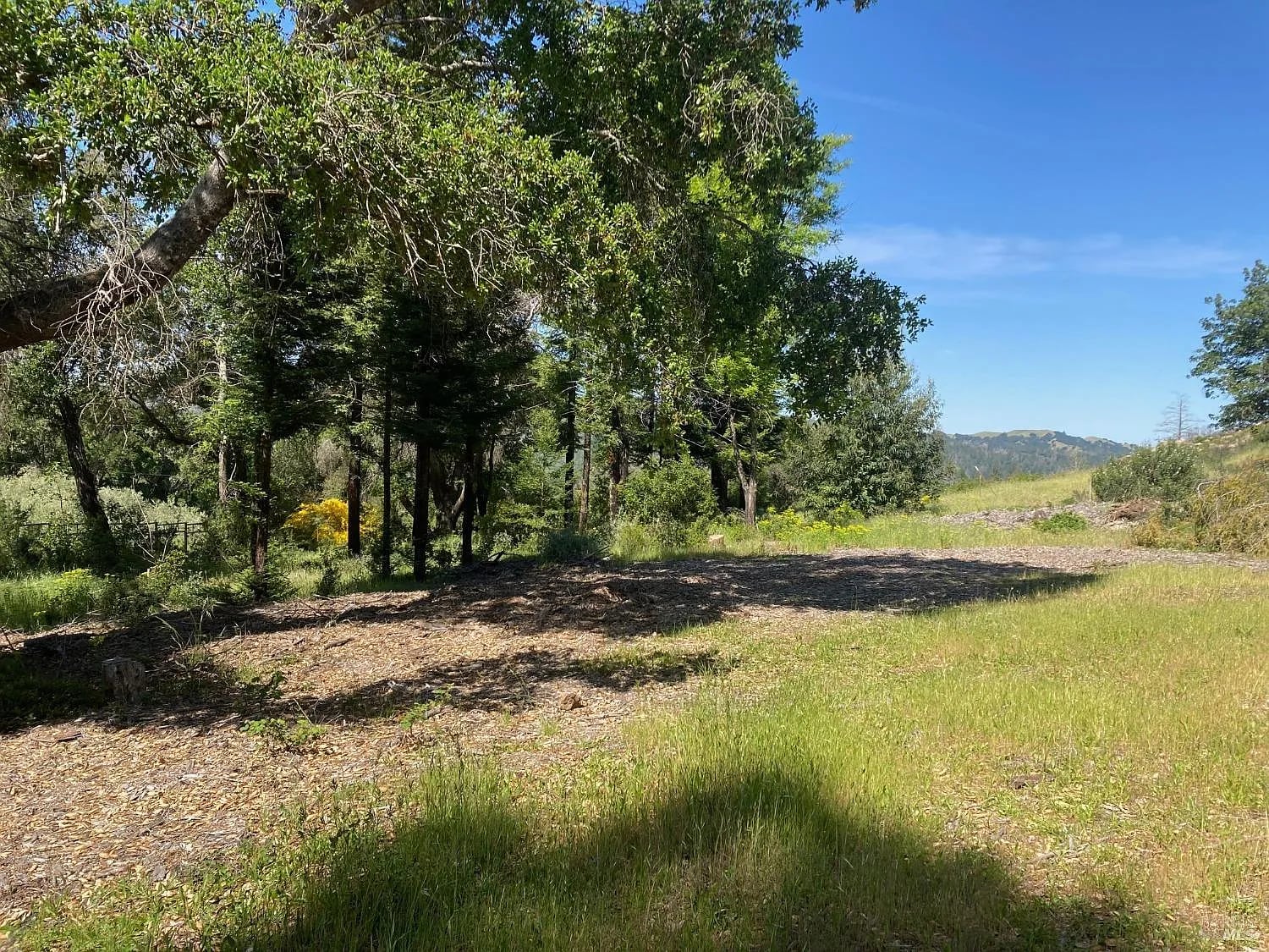 9201 Franz Valley School Road - Photo 1