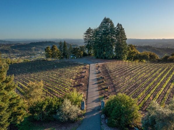 1960 Redwood Hill Court - Photo 1