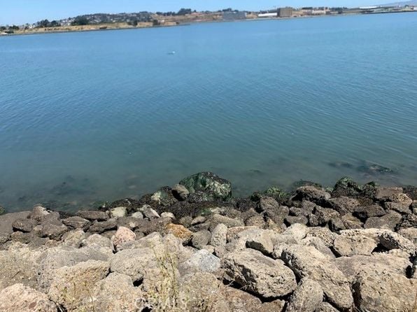 0 Ingerson Ave #8 - Photo 1