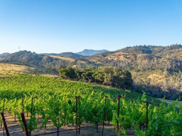 5000 Alpine Road - Photo 1