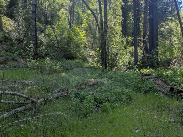 0 Skaggs Springs Road - Photo 1