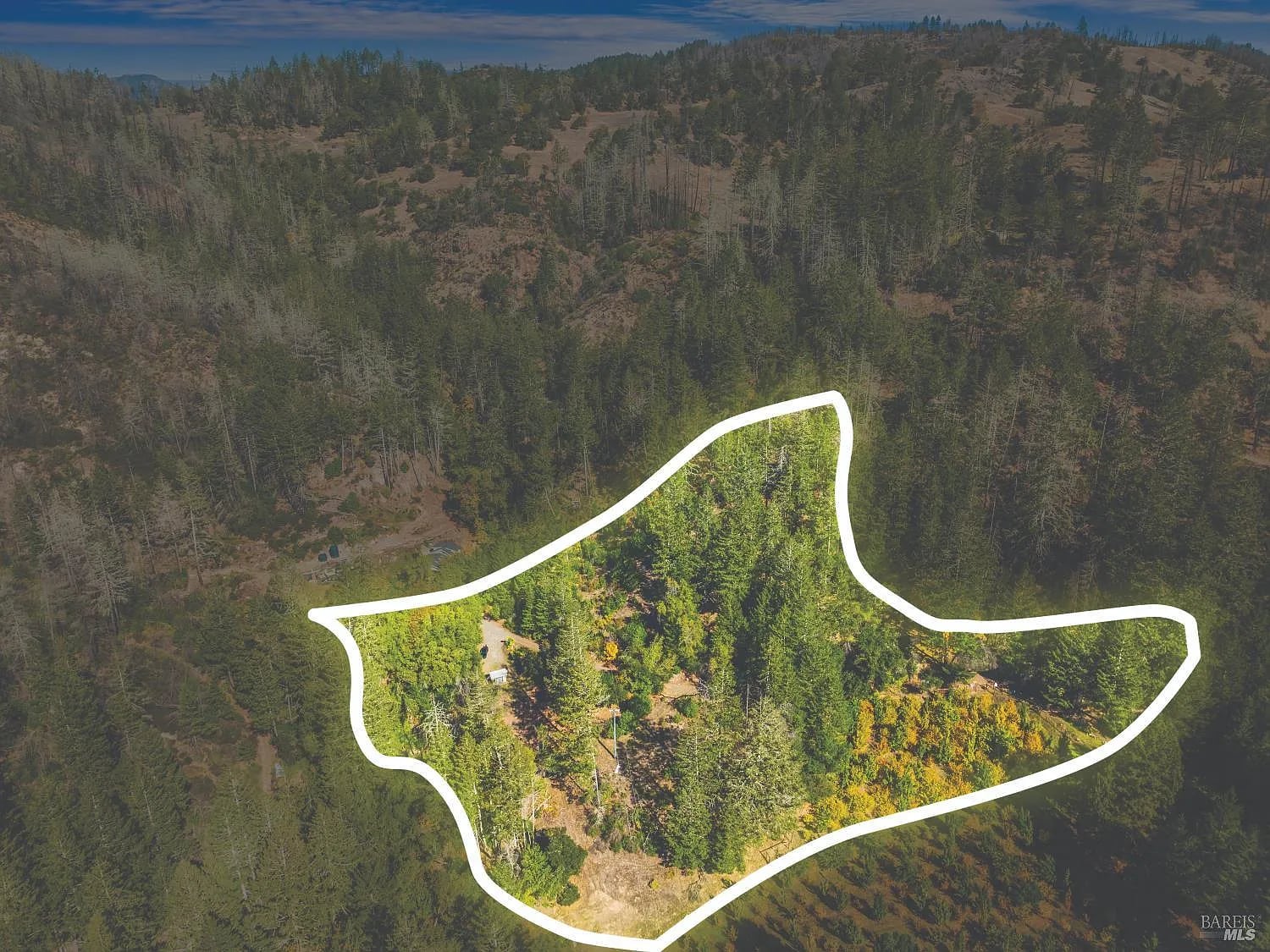 6581 St Helena Road - Photo 1