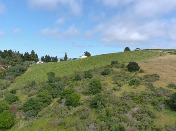 2930 Thorn Road - Photo 1